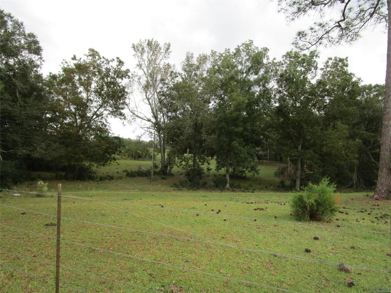 tbd County Road 636 - Photo 1