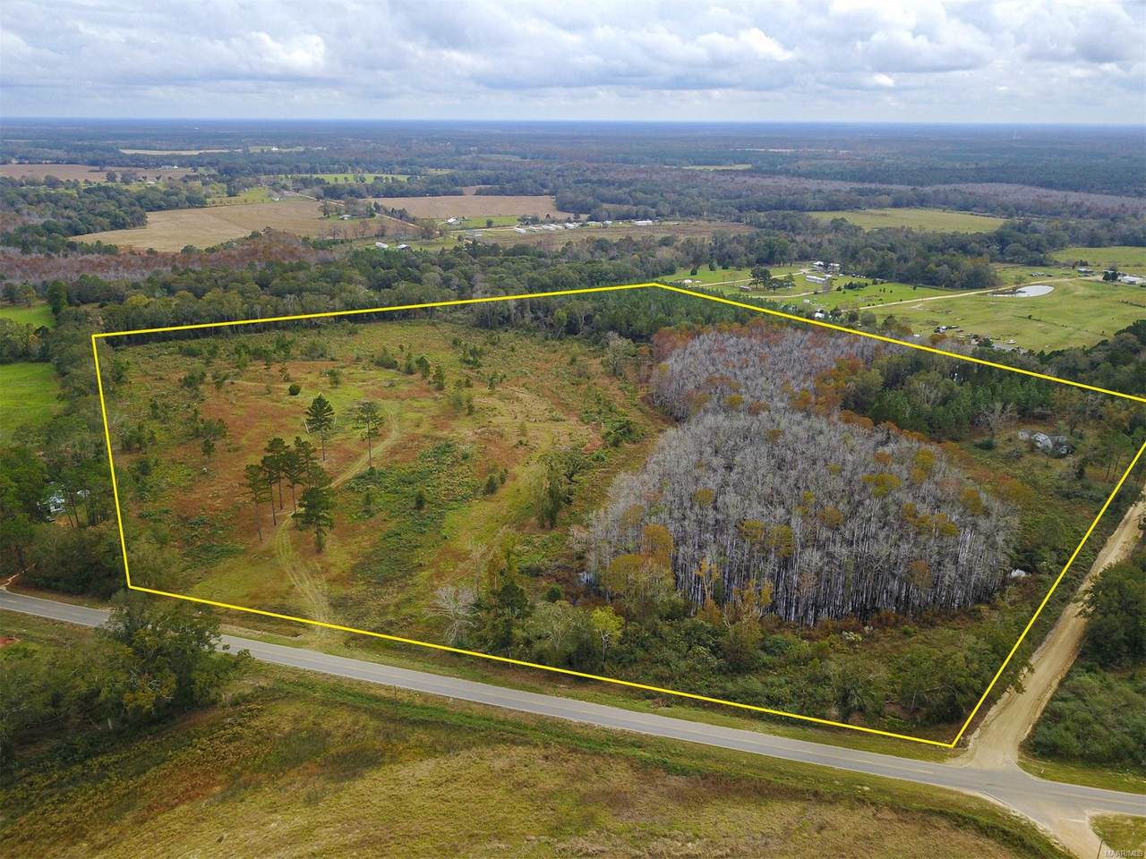 43 Acres County Road 49 Circle - Photo 1