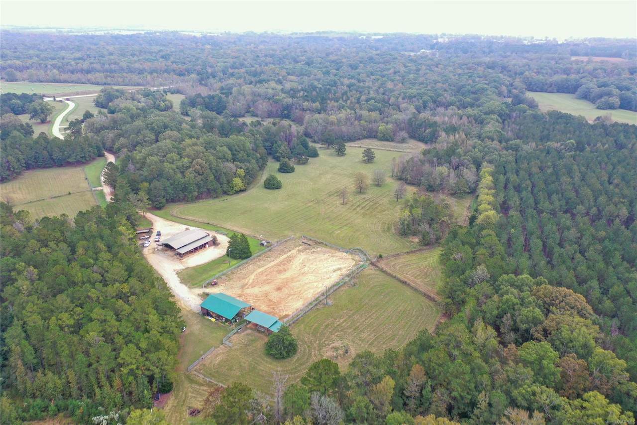 10885 Highway 110 Highway - Photo 1