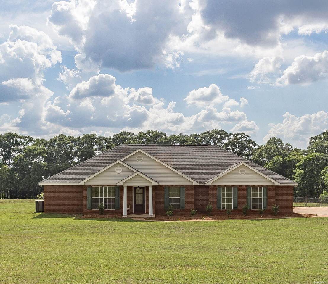 6335 County Road 708 Road - Photo 1