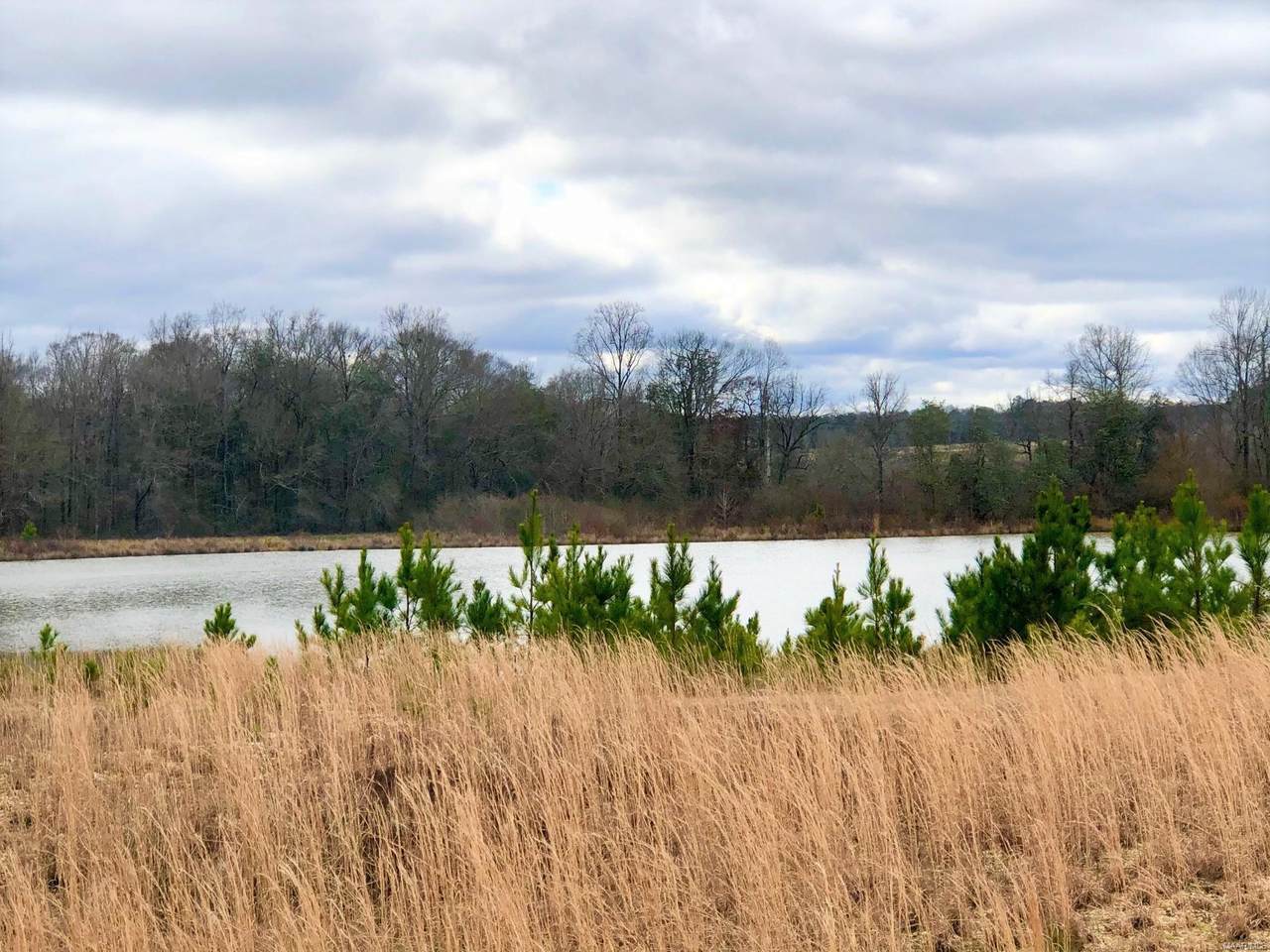 2577 County Road 67 Road - Photo 1
