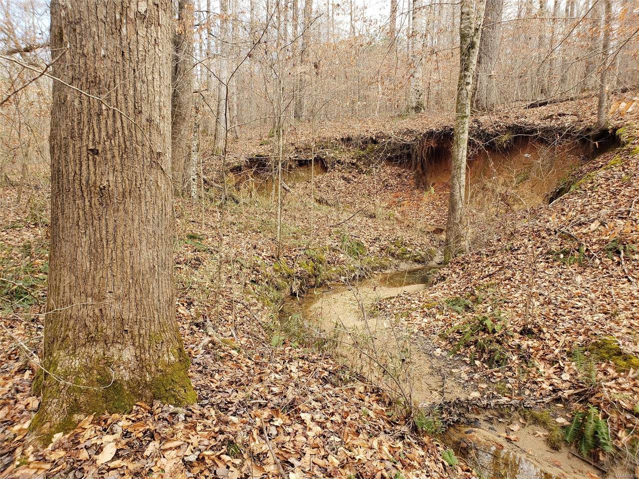 303 Daniel Road - Photo 1