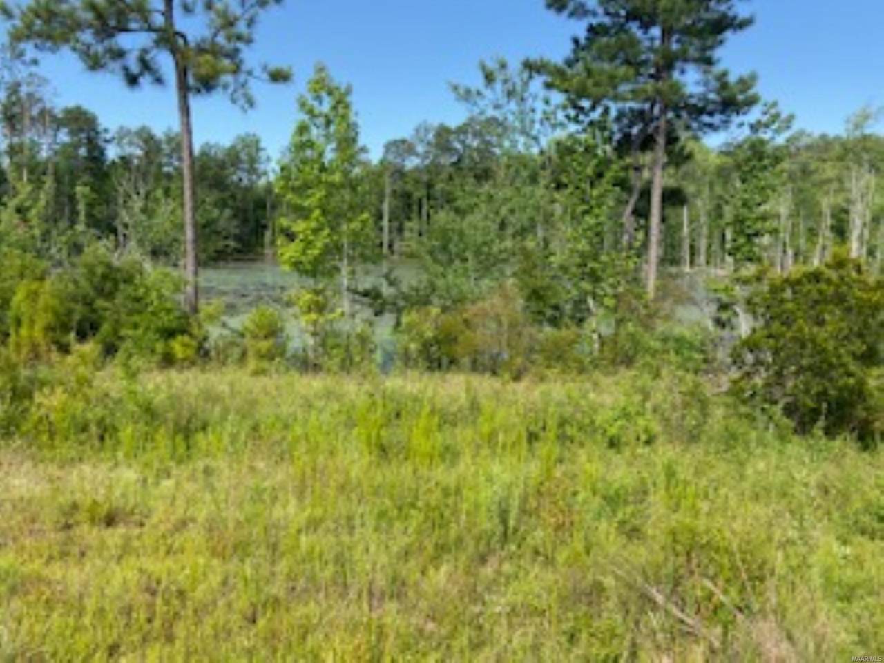 0 Highway 82 - Photo 1