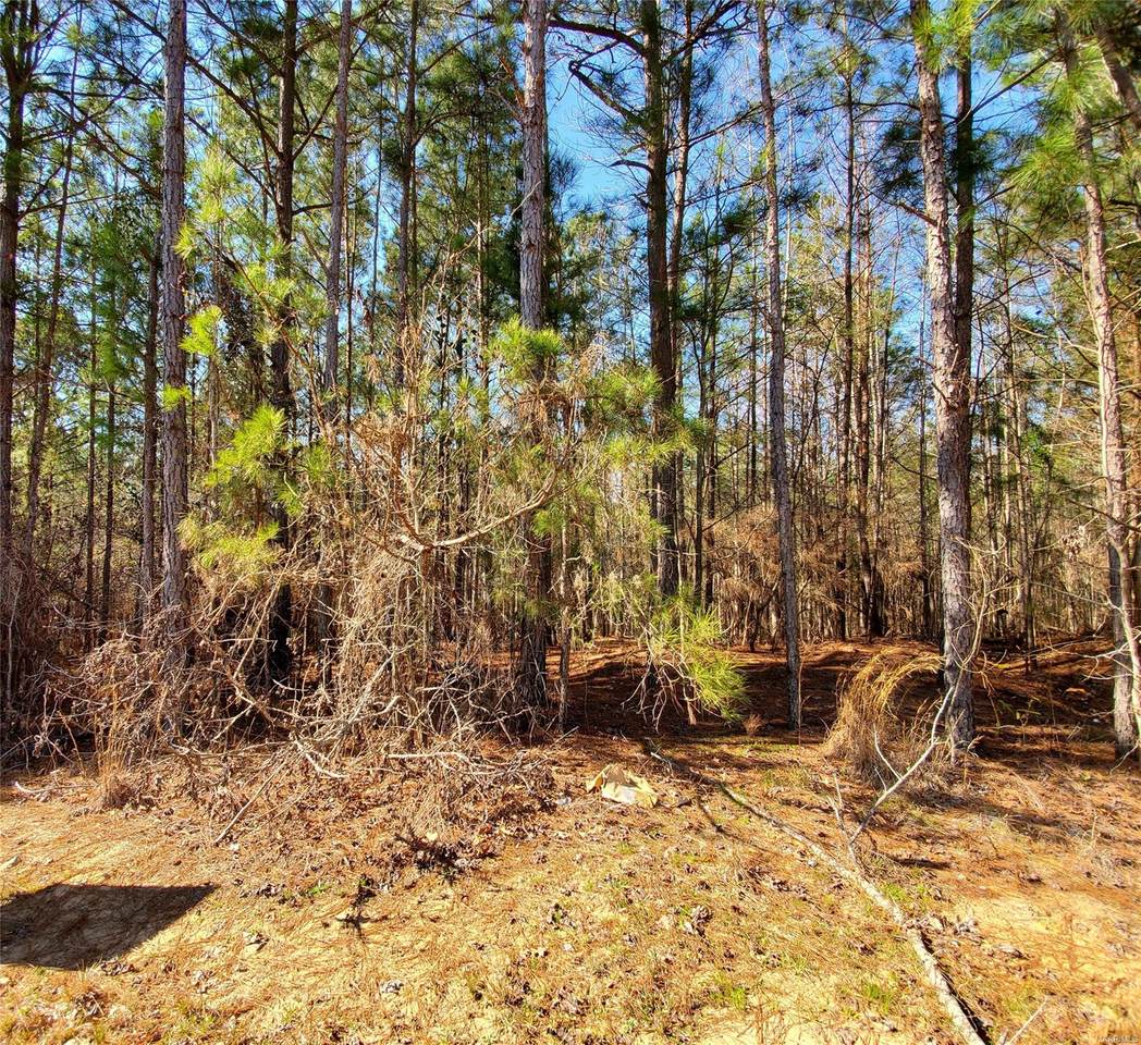 315 Sandy Springs Drive - Photo 1
