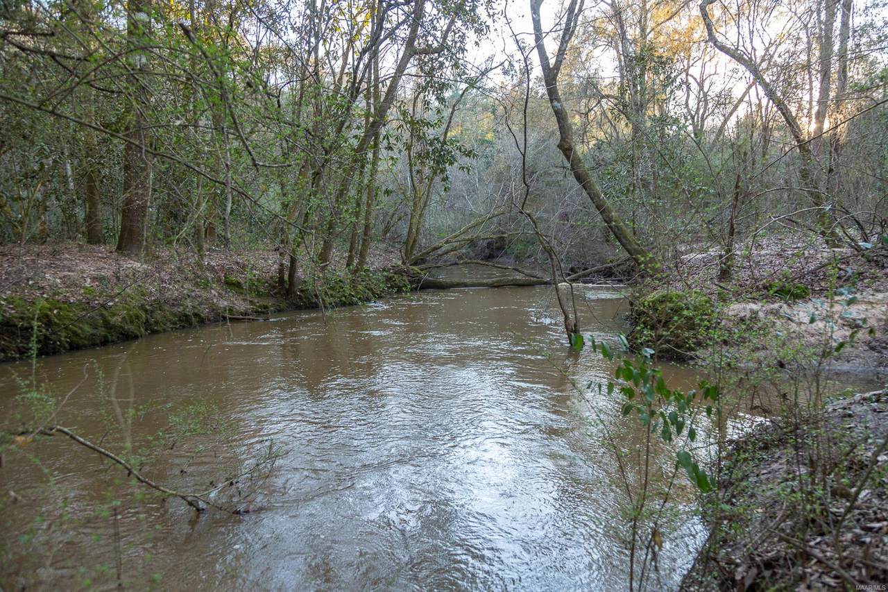 173 Acres County Road 64 - Photo 1