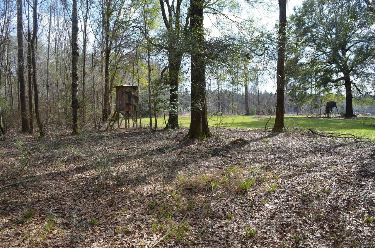 00 Halso Mill Road - Photo 1