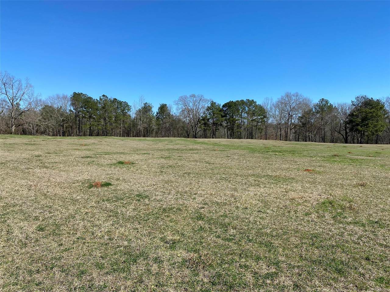43 Lake Haven Drive - Photo 1