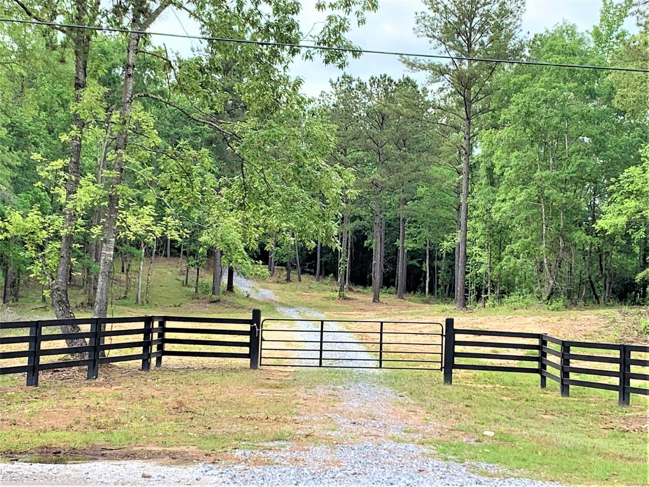 79295 Tallassee Highway - Photo 1