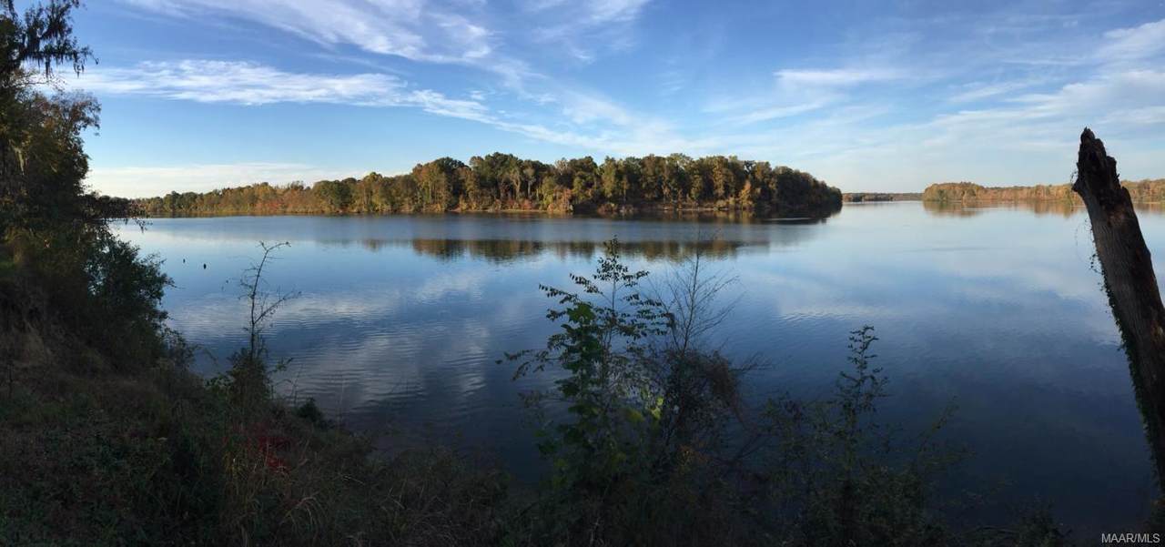 1000 Herons Cove - Photo 1