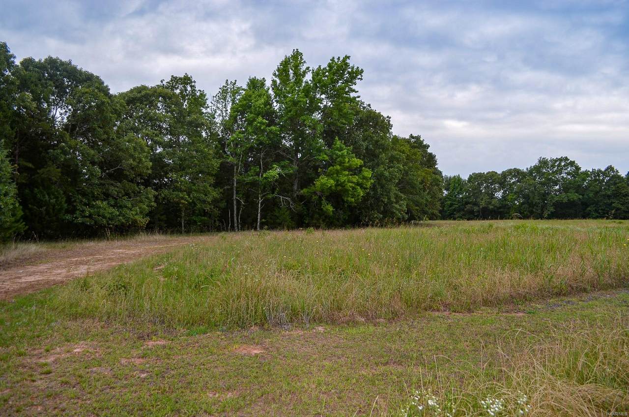 20 C Dewberry Trail - Photo 1