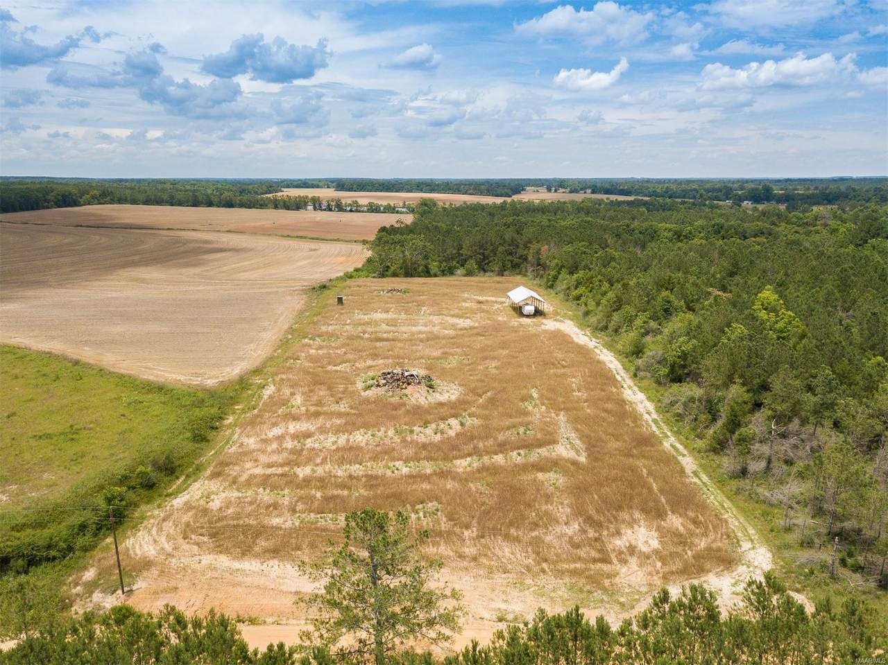 6.3 Acres B Reeves Road - Photo 1