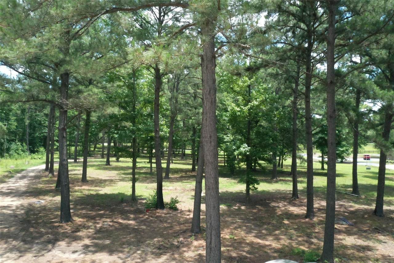 141 Johnson Creek Court - Photo 1