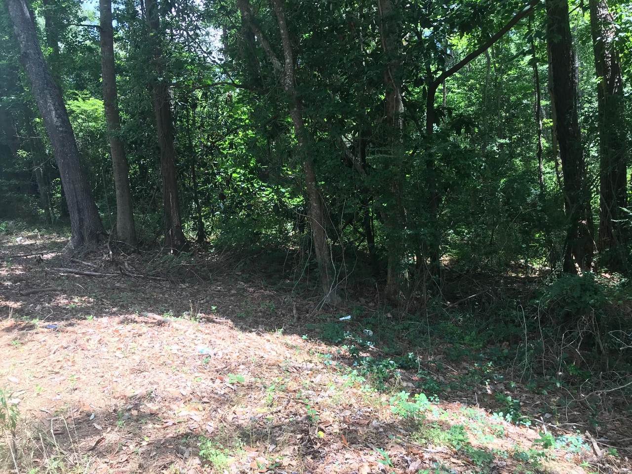 TDB County Road 69 - Photo 1