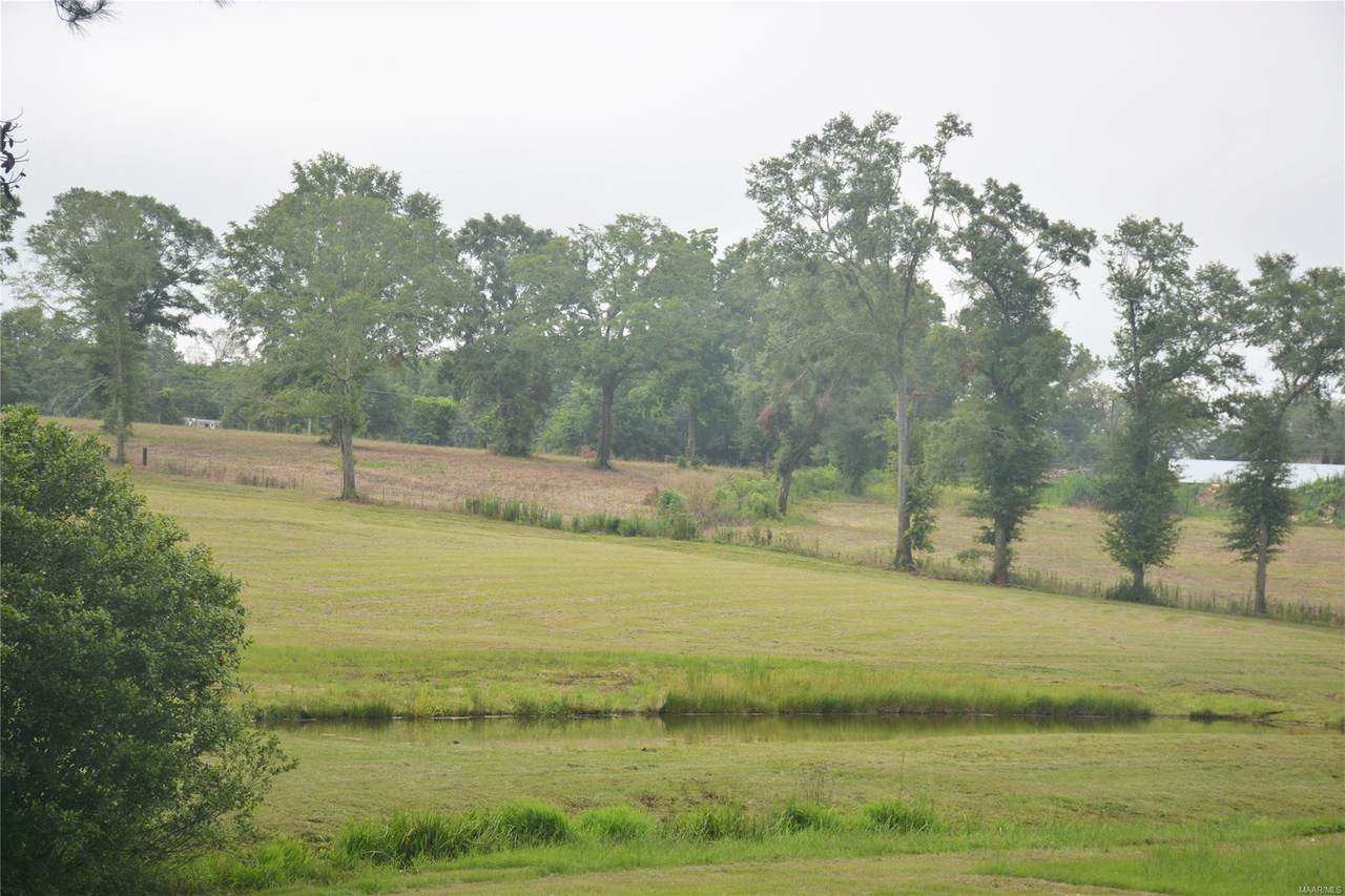 0 County Road 618 - Photo 1