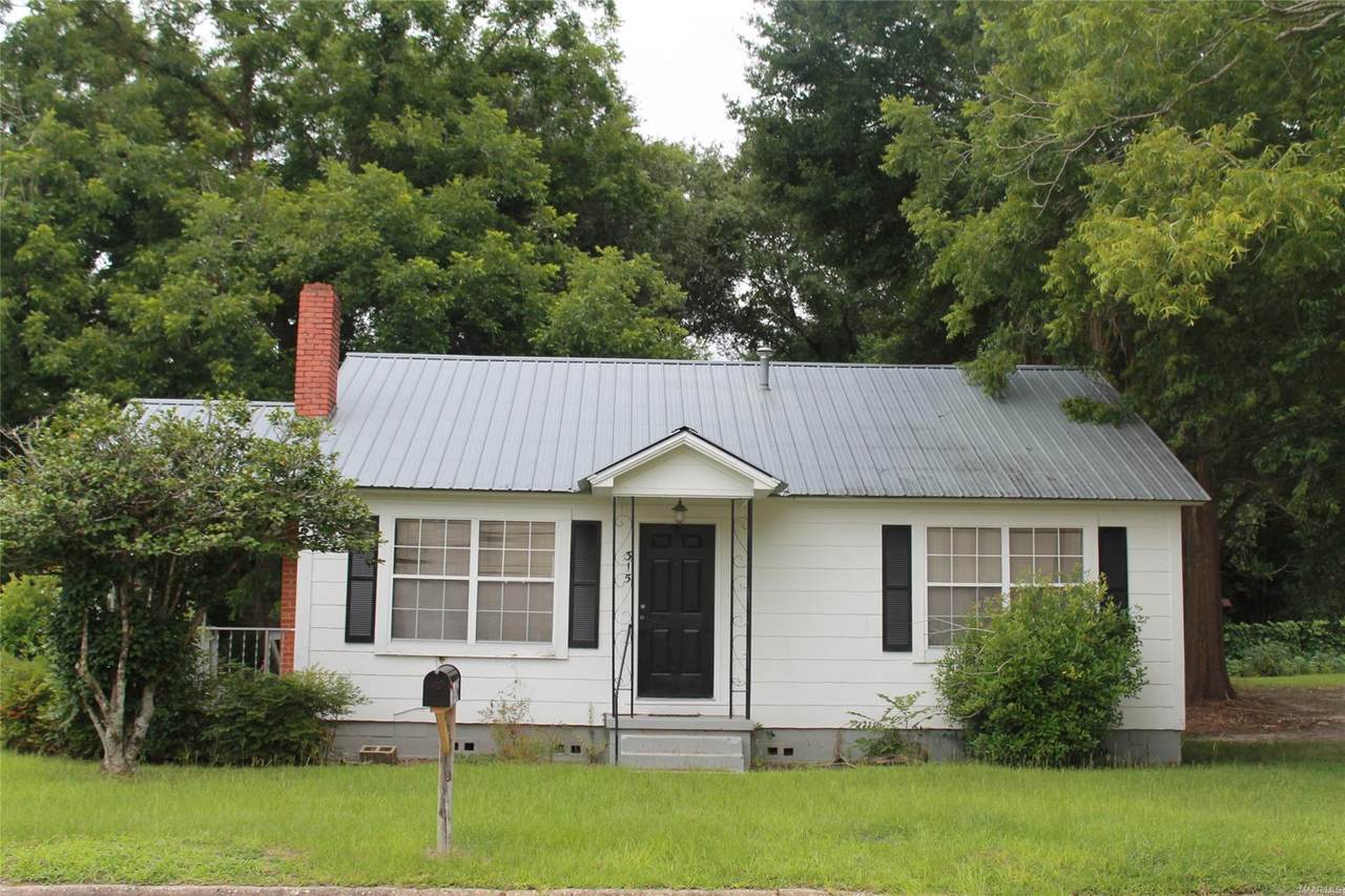 315 Adkinson Avenue - Photo 1