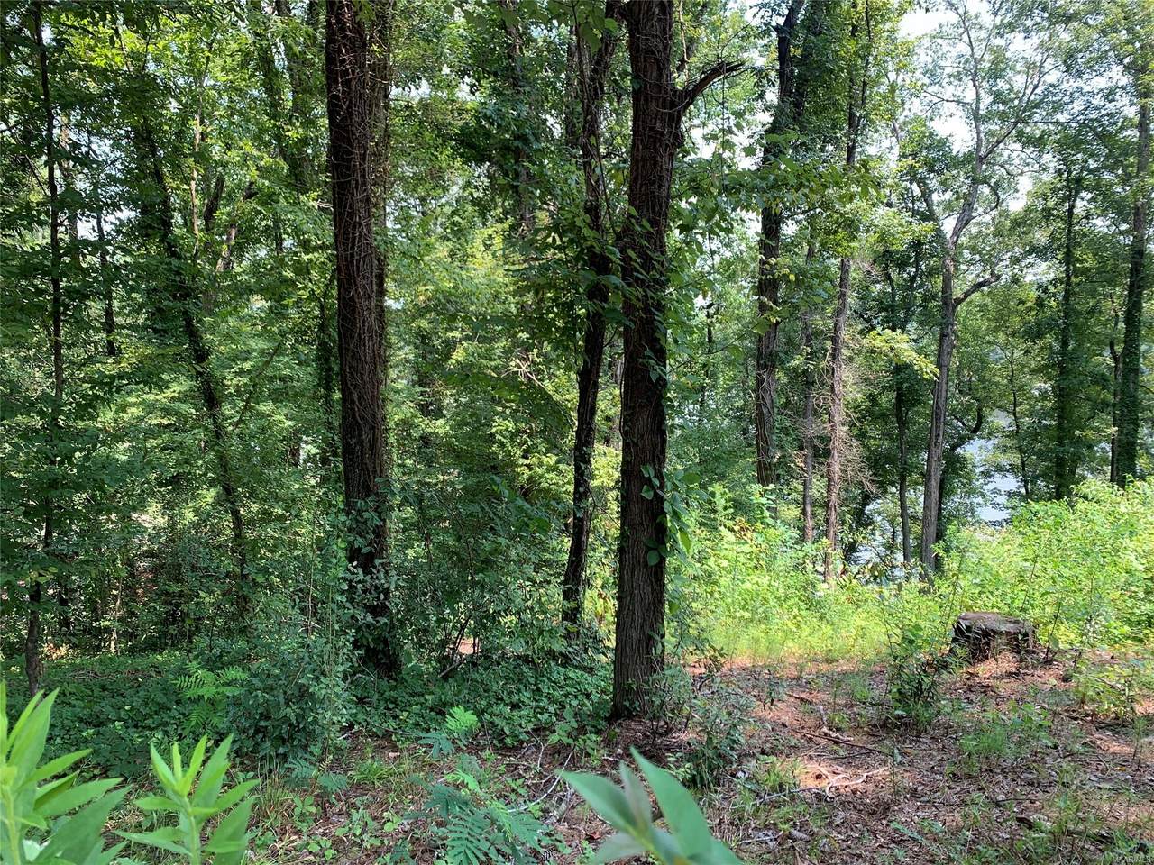 00 Honeysuckle Road - Photo 1