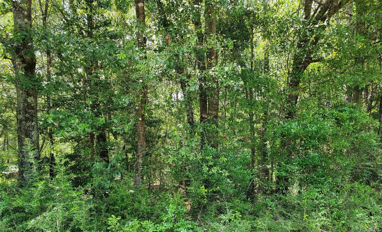 0 Ab Stubbs Road - Photo 1