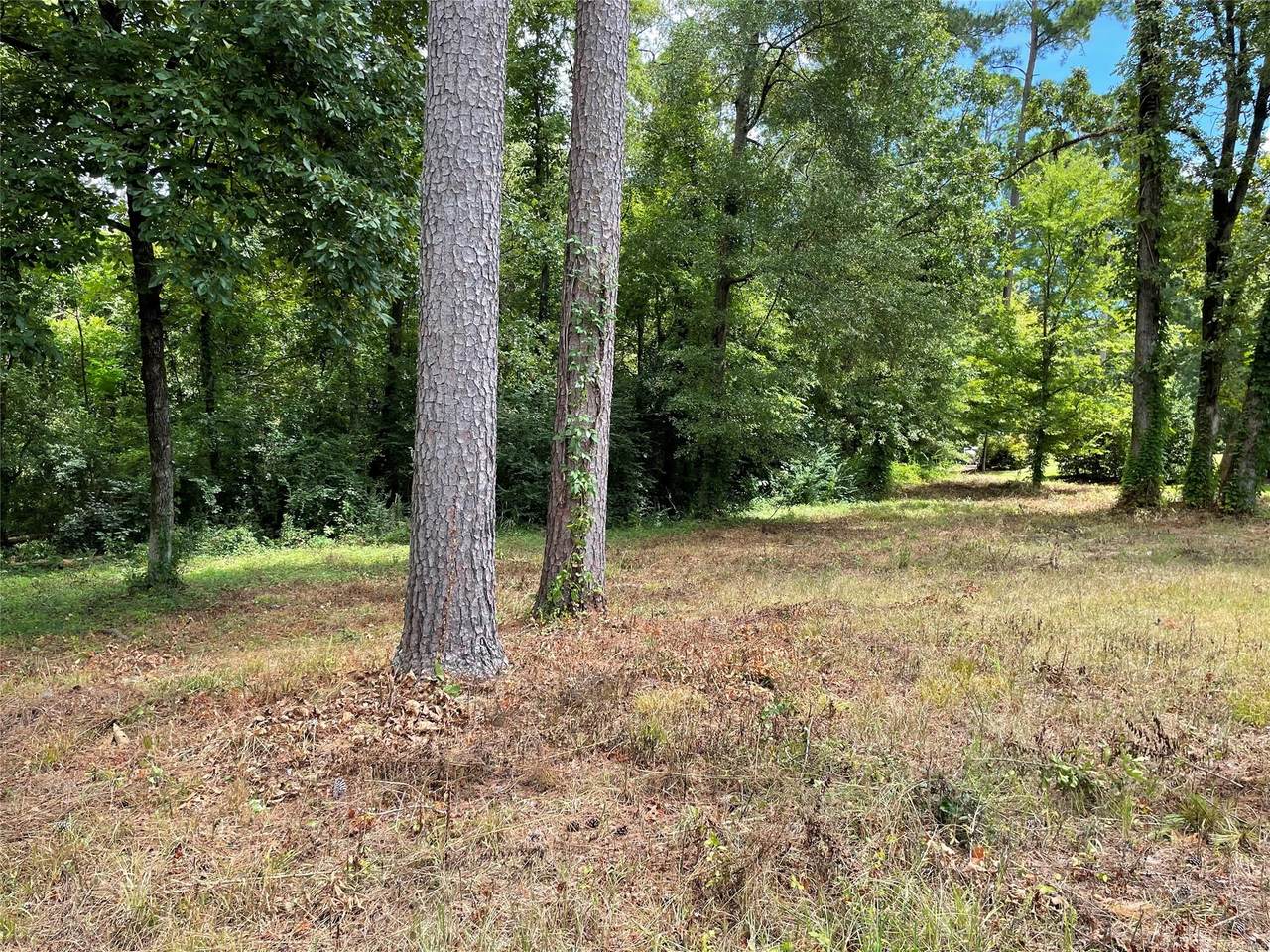 6337 Philadelphia Hill - Photo 1