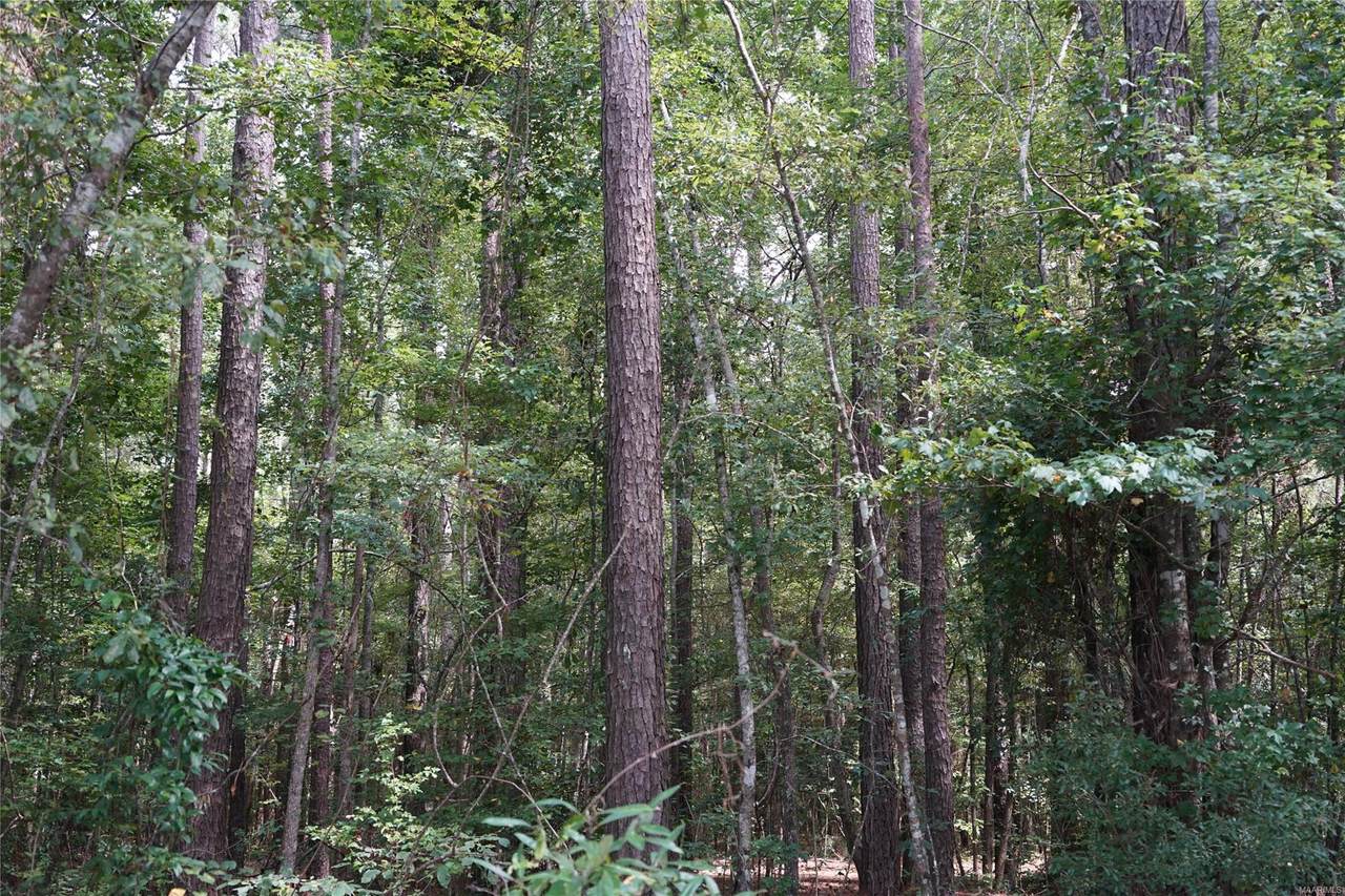 0 Opossum Branch Road - Photo 1