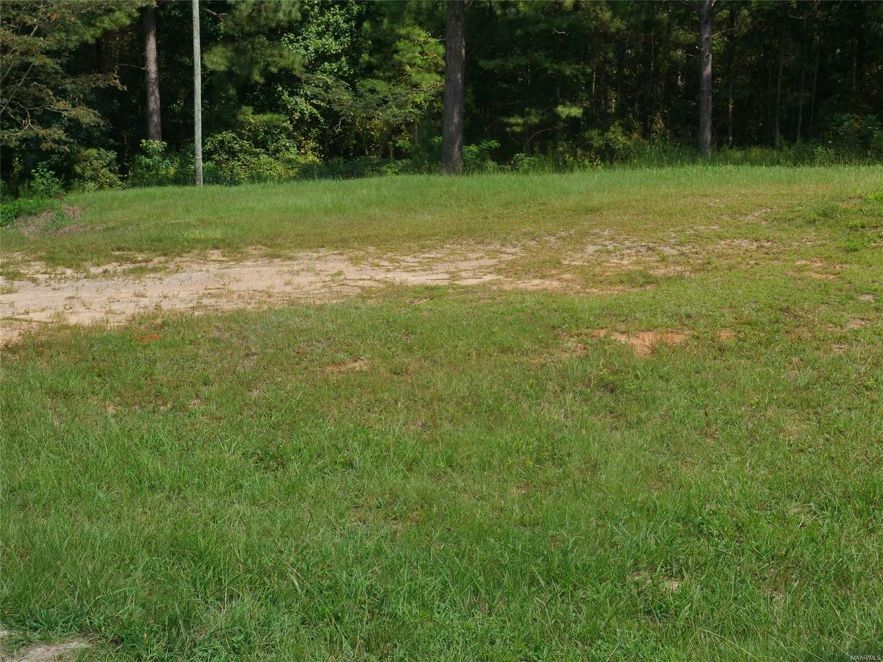 2180 County Road 87 - Photo 1