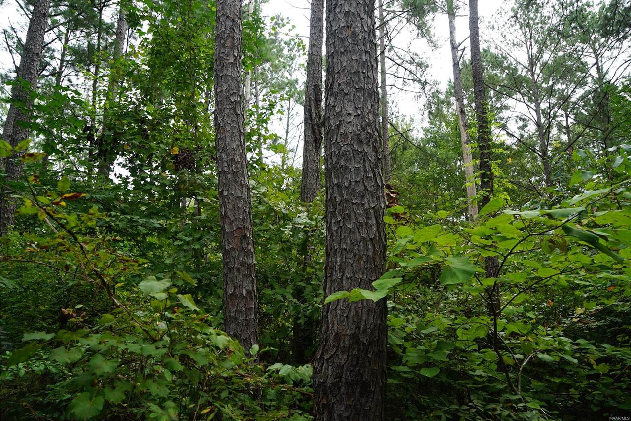 180 Hunters Cove - Photo 1