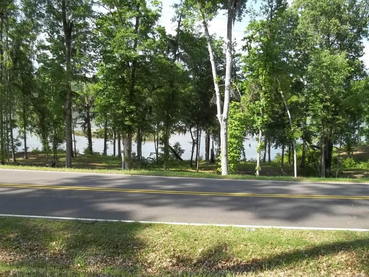 37 Shadow Creek Loop - Photo 1