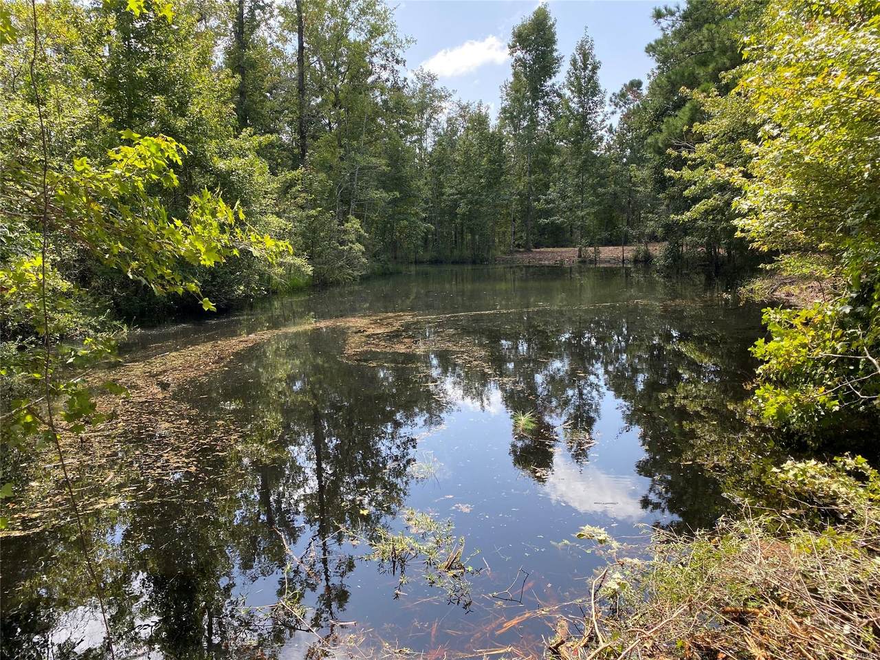 6.7 +/- Acres Coot Adams Road - Photo 1