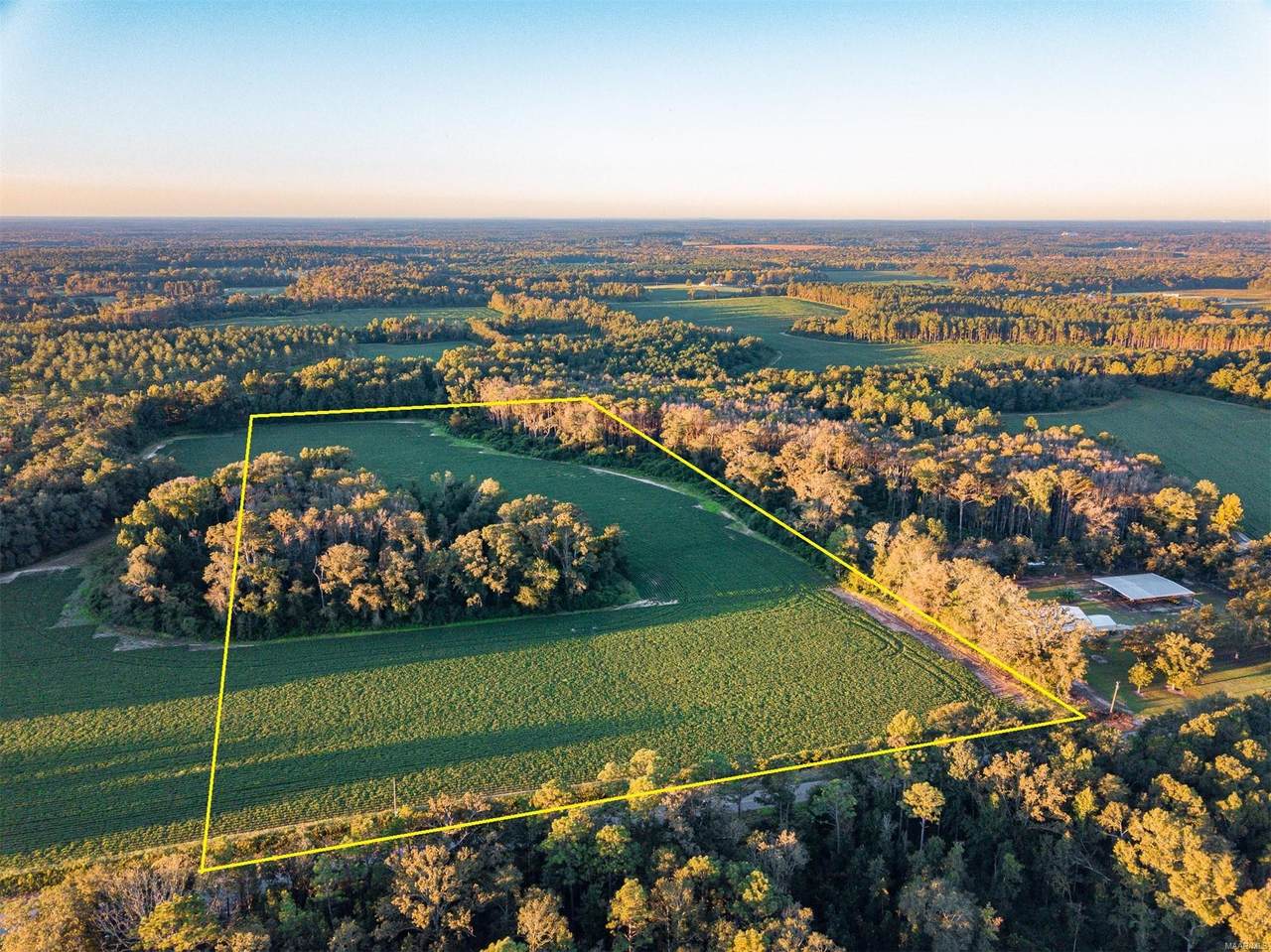 20 Acres D Hodge Road - Photo 1