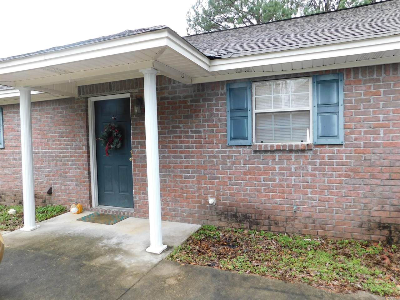 217 Pine Street - Photo 1