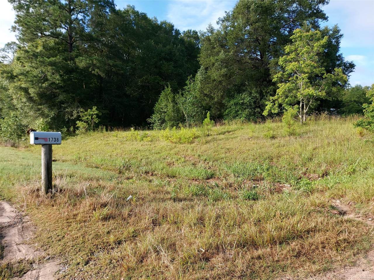 1734 Highway 84 - Photo 1