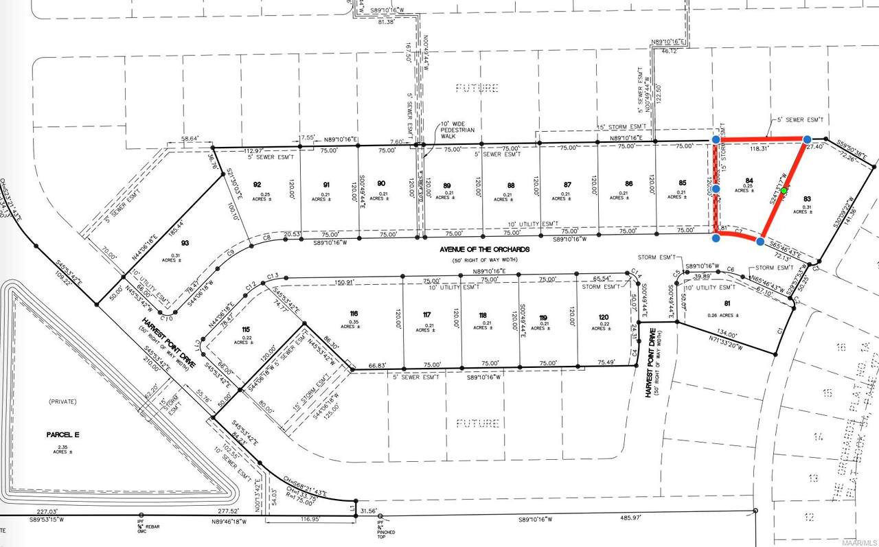 206 Avenue Of The Orchards - Photo 1