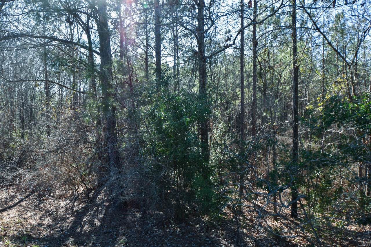 0 County Road 57 - Photo 1