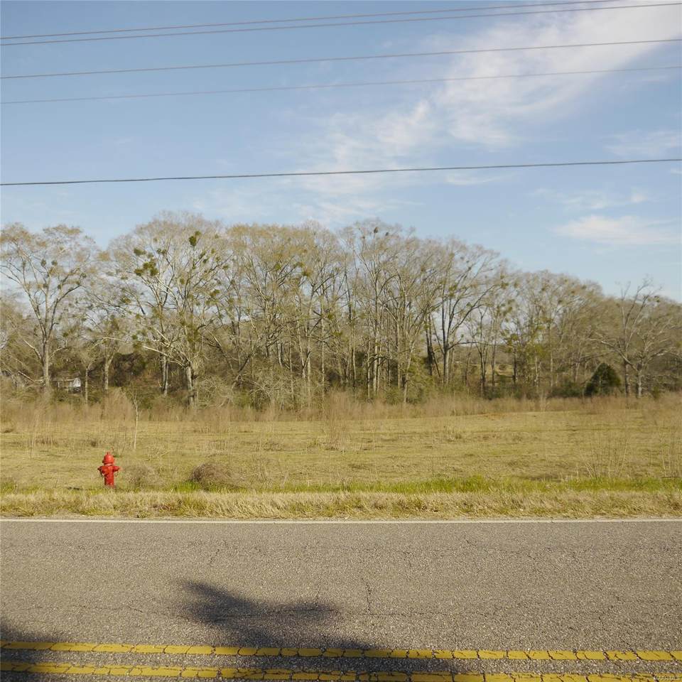 Lot 7B County Road 651 - Photo 1