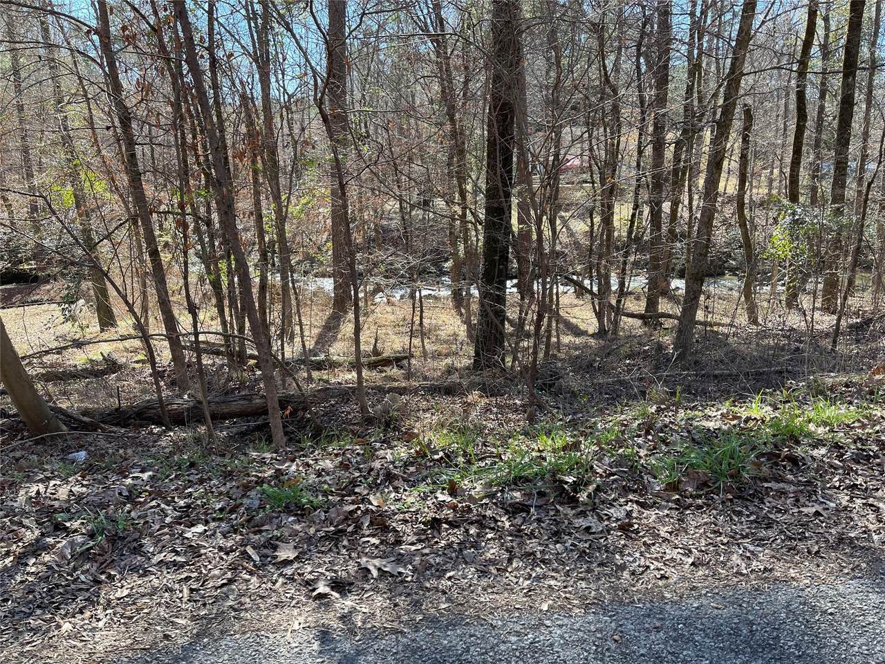 Lot 27 & 28 Pinkston Creek - Photo 1