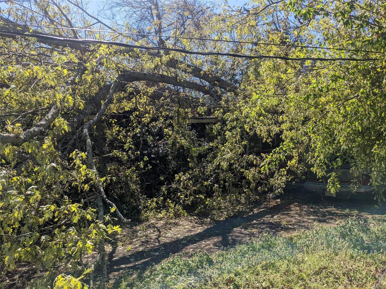 1806 Shadow Lane - Photo 1