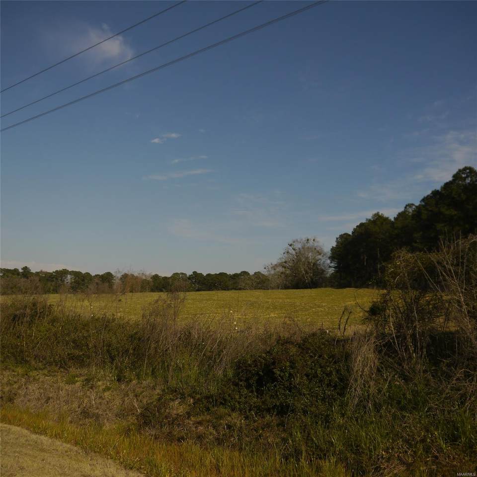 Lot 2 A County Road 651 - Photo 1