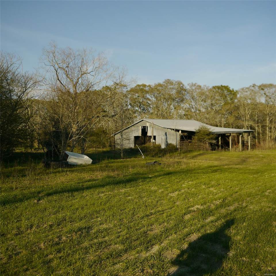 Lot 6B County Road 651 - Photo 1