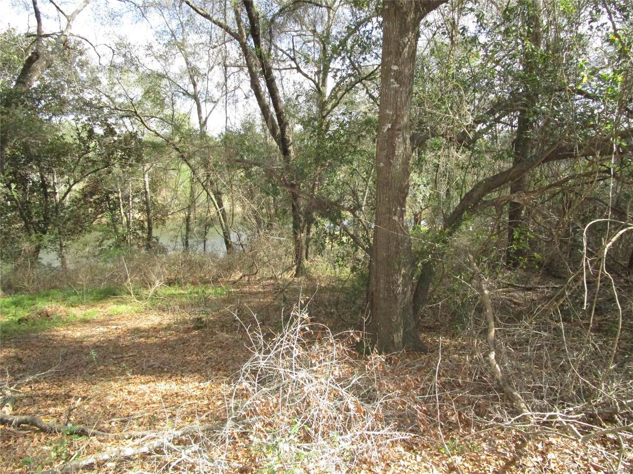 111 Oak Lake Drive - Photo 1