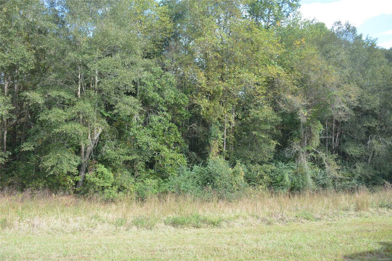 0 Boll Weevil Circle - Photo 1