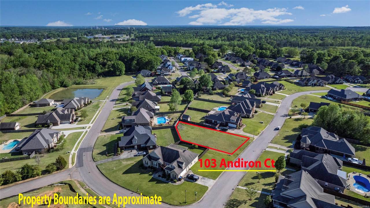 103 Andiron Court - Photo 1