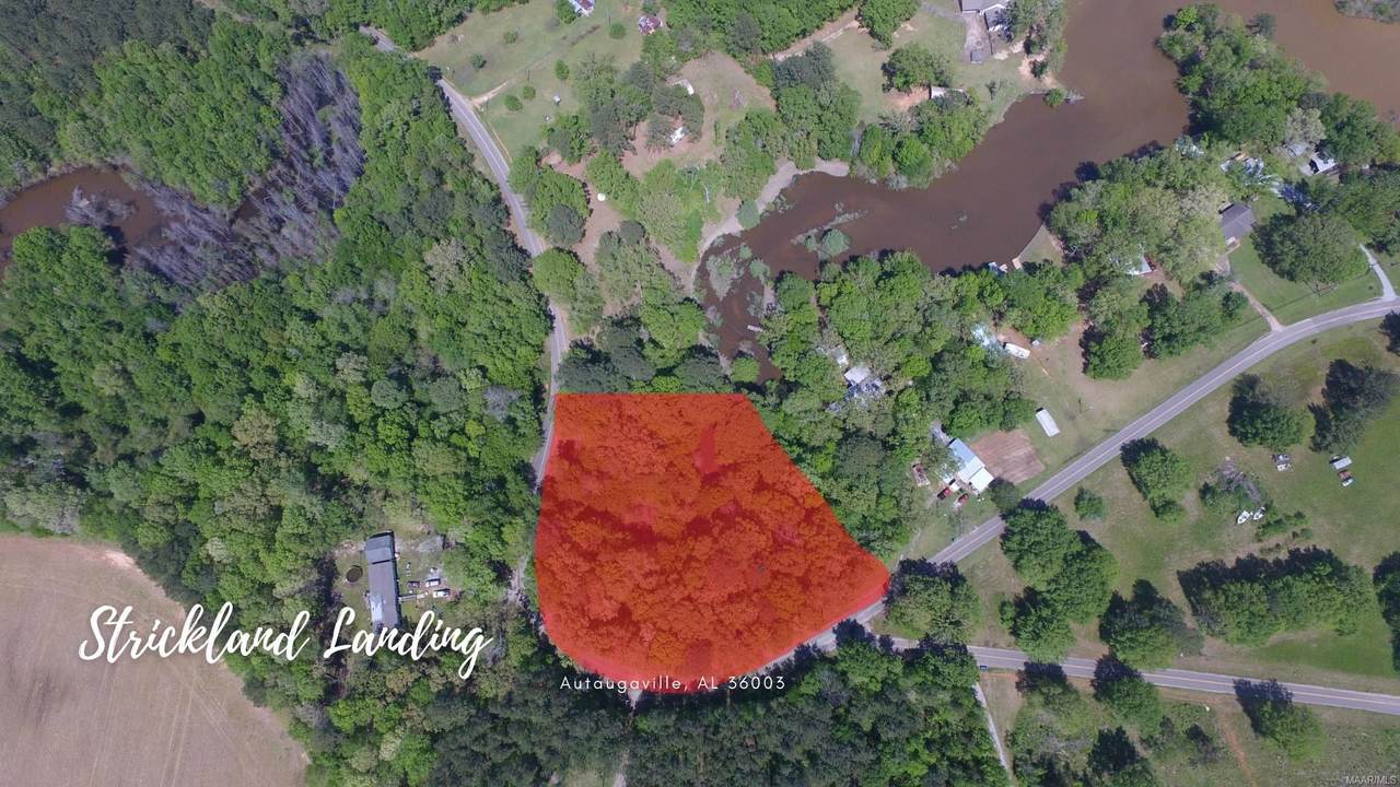 0 Strickland Landing - Photo 1