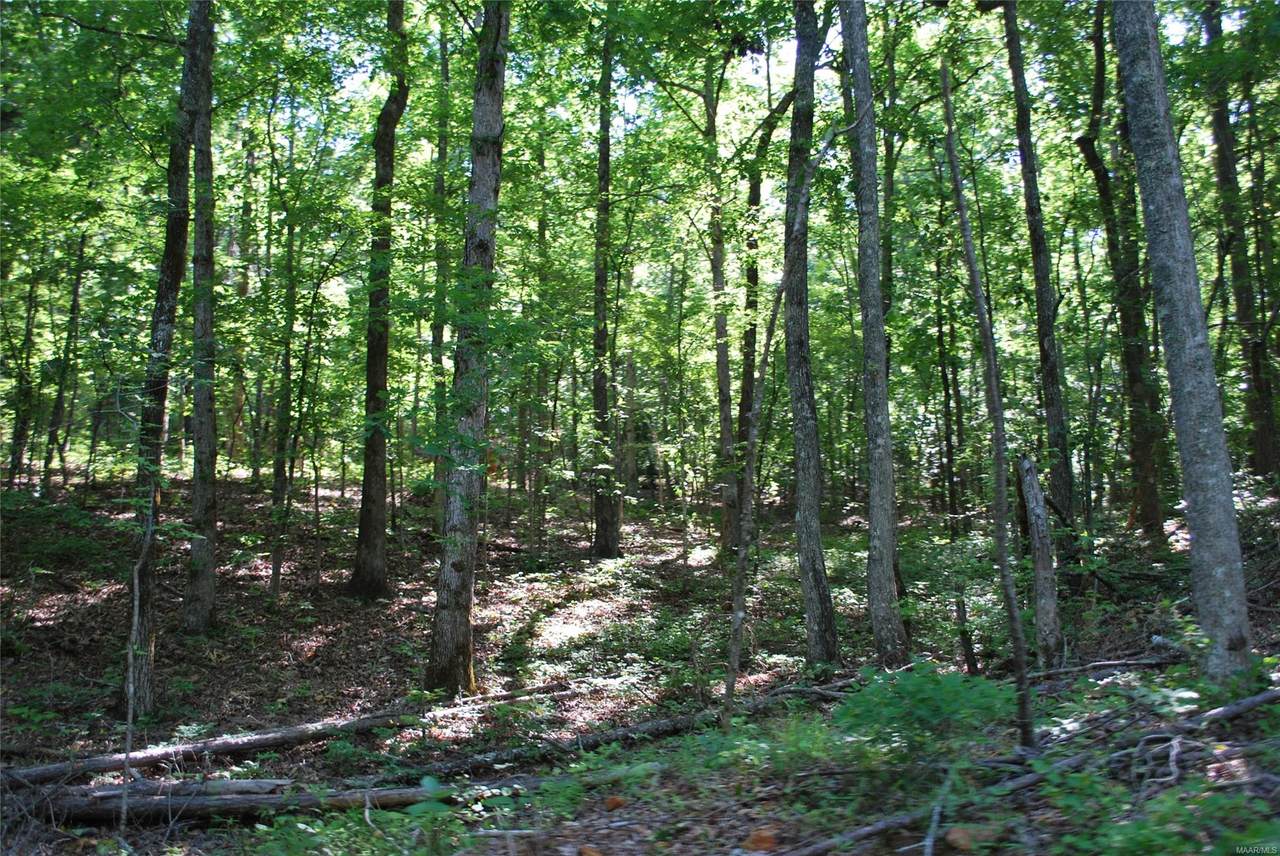 00 County Road 91 Road - Photo 1
