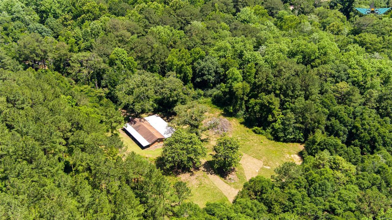 3868 County Road 55 Road - Photo 1