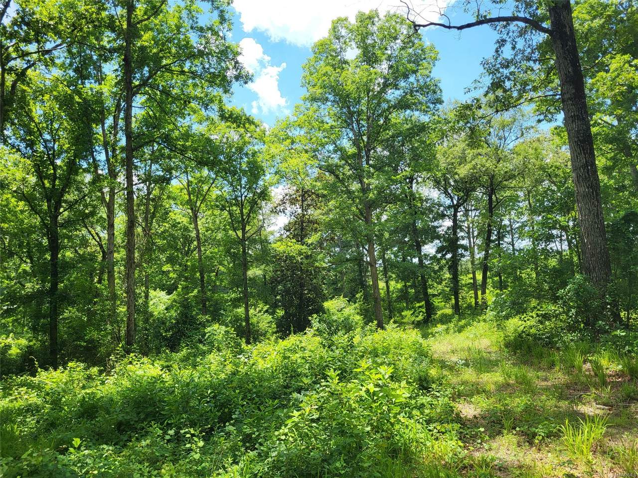 0 County Road 70 Road - Photo 1