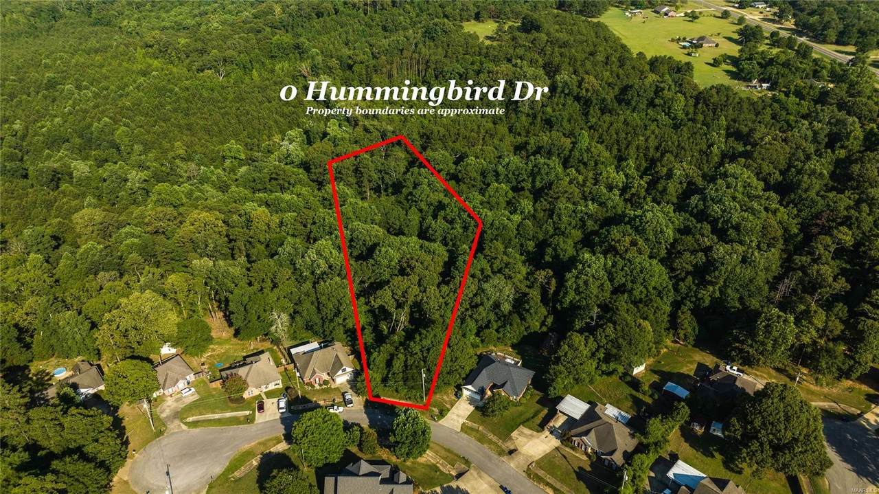0 Hummingbird Drive - Photo 1