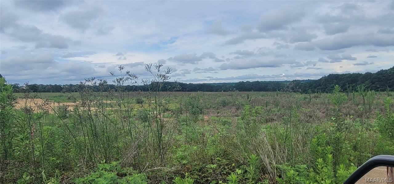 2 County Road 626 Road - Photo 1
