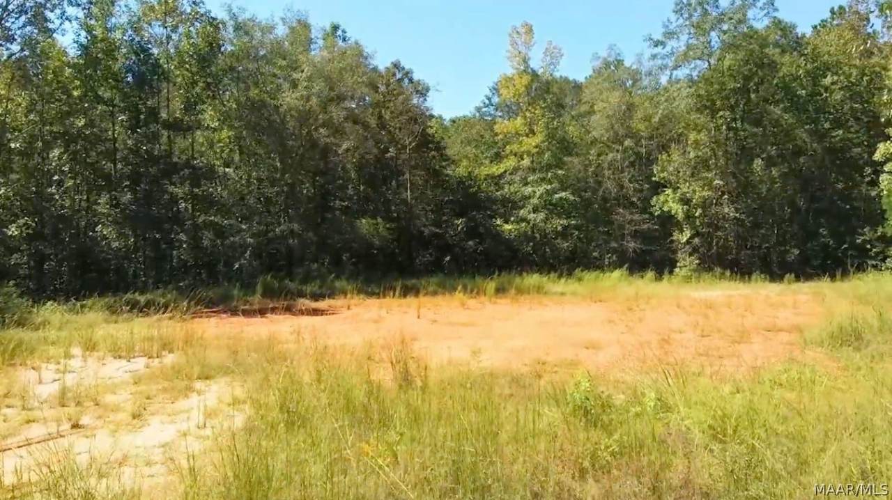 78 Chubbehatchee Circle - Photo 1