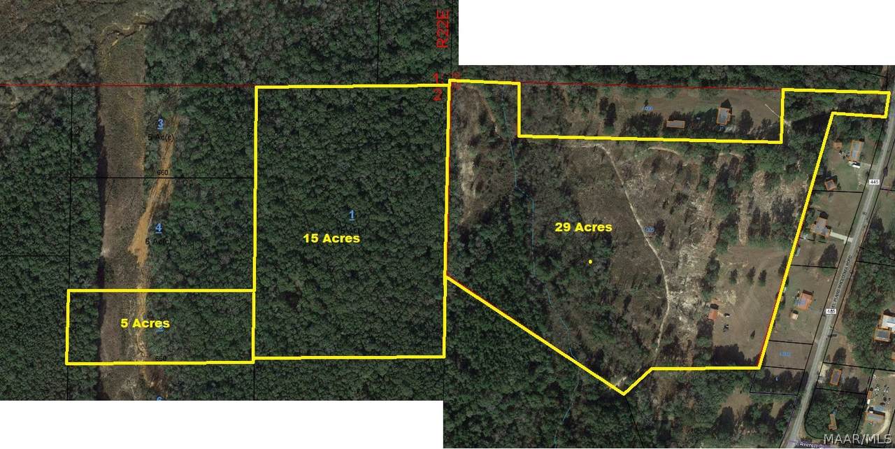 TBD County Road 445 - Photo 1