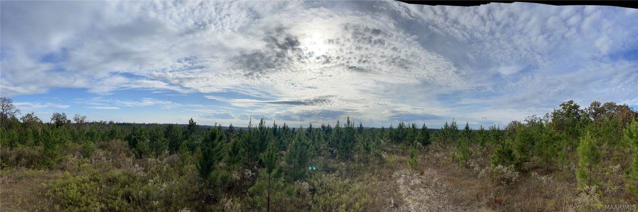 1830 County Road 53 Road - Photo 1