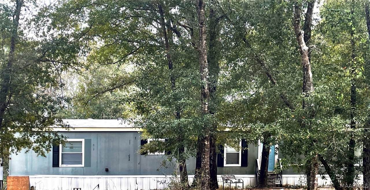 1020 County Road 121 Road - Photo 1